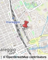 Marmitte per Motori Viareggio,55049Lucca