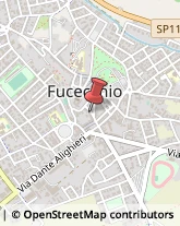 Librerie Fucecchio,50054Firenze