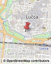 Psicologi Lucca,55100Lucca