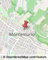 Assicurazioni Montemurlo,59013Prato