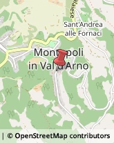 Uffici ed Enti Turistici Montopoli in Val d'Arno,56020Pisa