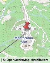 Bar e Ristoranti - Arredamento Montecatini Terme,51016Pistoia