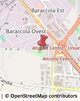 Università ed Istituti Superiori Ancona,60131Ancona