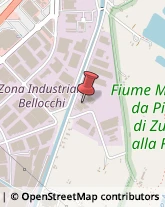 Metalli - Lavorazione Artistica Fano,61032Pesaro e Urbino