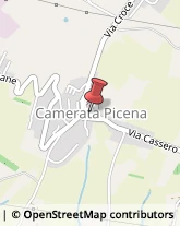 Agenti e Rappresentanti di Commercio Camerata Picena,60020Ancona