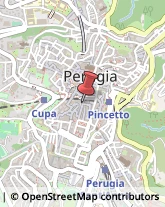 Tour Operator e Agenzia di Viaggi,06123Perugia