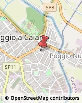 ,59016Prato