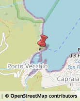 Porti e Servizi Portuali Capraia Isola,57032Livorno