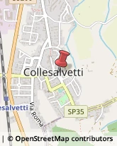 Pedagogia - Studi e Centri Collesalvetti,57014Livorno