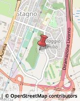 Psicologi,57017Livorno