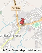 ,53049Siena