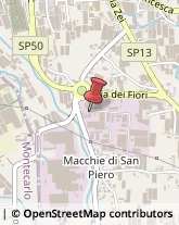 Falegnami,51017Pistoia