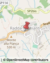 Società Immobiliari Radda in Chianti,53017Siena