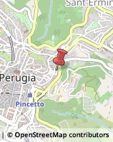 Pedagogia - Studi e Centri,06122Perugia