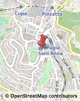 Mercerie Perugia,06123Perugia