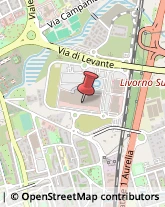 Pelliccerie Livorno,57100Livorno