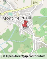 Scale Montespertoli,50025Firenze