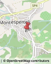 Case di Riposo e Istituti di Ricovero per Anziani Montespertoli,50025Firenze