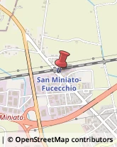 Trasporti San Miniato,56028Pisa