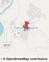 Aziende Sanitarie Locali (ASL) Sassocorvaro,61028Pesaro e Urbino