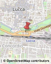 Licei - Scuole Private Lucca,55100Lucca