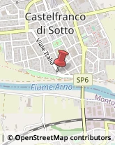 Piante e Fiori - Dettaglio Castelfranco di Sotto,56022Pisa