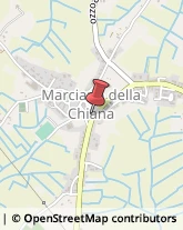 Scuole Pubbliche Foiano della Chiana,52045Arezzo