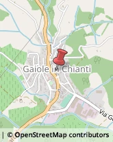 Elettrodomestici Gaiole in Chianti,53013Siena