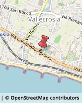 Biciclette - Accessori e Parti Vallecrosia,18019Imperia