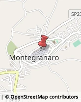 Zucchero Montegranaro,63812Fermo