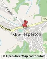 Panetterie Montespertoli,50025Firenze