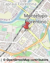 Pescherie Montelupo Fiorentino,50056Firenze