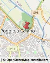 Farine Alimentari Poggio a Caiano,59016Prato