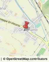 Ospedali San Giuliano Terme,50017Pisa