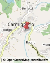 Aziende Sanitarie Locali (ASL) Carmignano,59015Prato