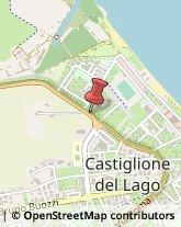 Cantieri Navali - Demolizioni, Manutenzioni e Riparazioni Castiglione del Lago,06061Perugia