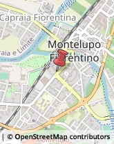 Autofficine e Centri Assistenza,50056Firenze