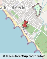 Biciclette - Dettaglio e Riparazione Cecina,57023Livorno