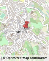 Turismo - Consulenze Siena,53100Siena