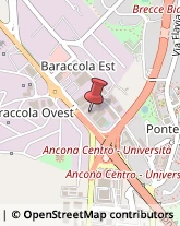 Pavimenti in Legno Ancona,60131Ancona