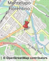 Zootecnia - Prodotti Montelupo Fiorentino,50056Firenze