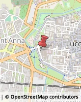 Trasporto Pubblico,55100Lucca