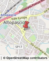 Assicurazioni Altopascio,55011Lucca