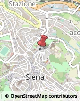 Internet - Provider Siena,53100Siena