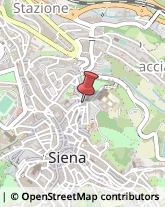 Fotocopie Siena,53100Siena