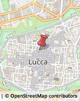 Relazioni Pubbliche,55100Lucca