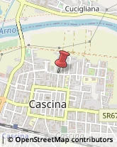 Maglieria - Produzione Cascina,56021Pisa