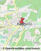 Professionali - Scuole Private Reggello,50066Firenze