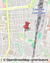 Licei - Scuole Private Livorno,57124Livorno