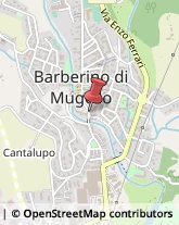 Fotografia - Studi e Laboratori Barberino di Mugello,50031Firenze